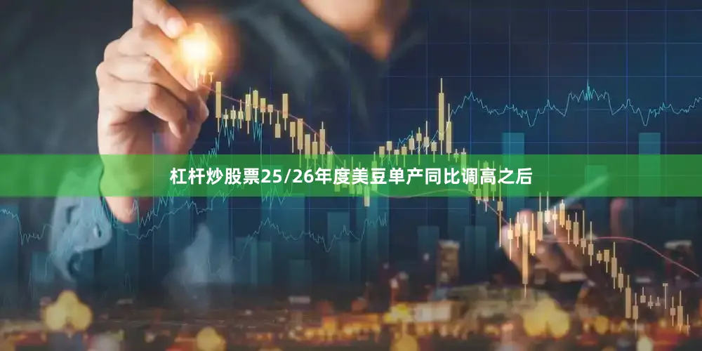 杠杆炒股票25/26年度美豆单产同比调高之后