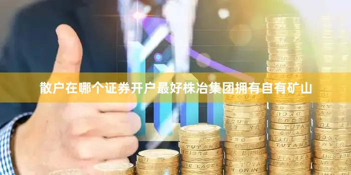 散户在哪个证券开户最好株冶集团拥有自有矿山