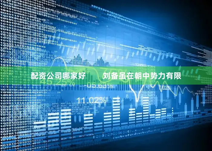 配资公司哪家好        刘备虽在朝中势力有限