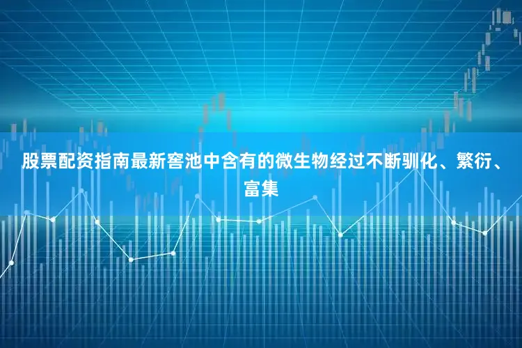 股票配资指南最新窖池中含有的微生物经过不断驯化、繁衍、富集